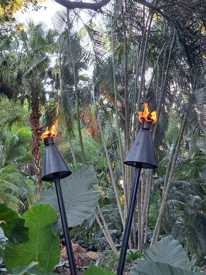 Not lost in&nbsp;translation