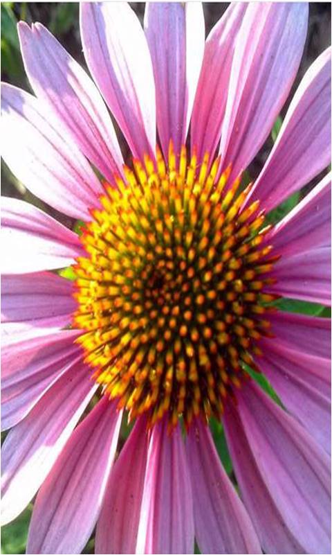 It’s not a cake&nbsp;walk